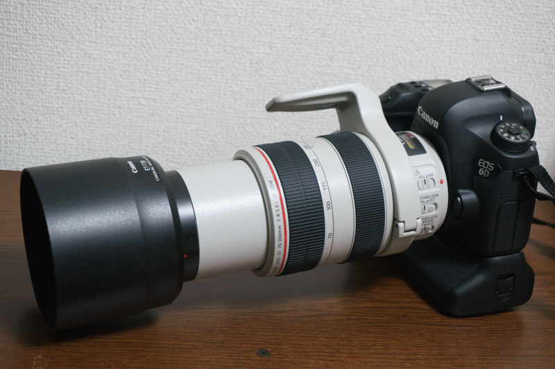 Canon 6D, バッテリーグリップ+ Canon 40mm レンズ