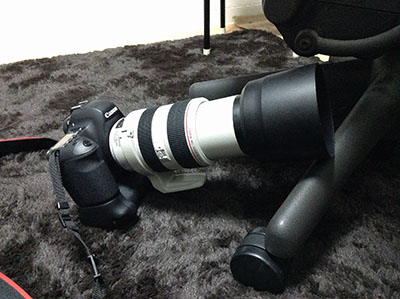 Canon EF70-300mm f4-5.6L IS USM 三脚座付き 【GINGER掲載商品】 50